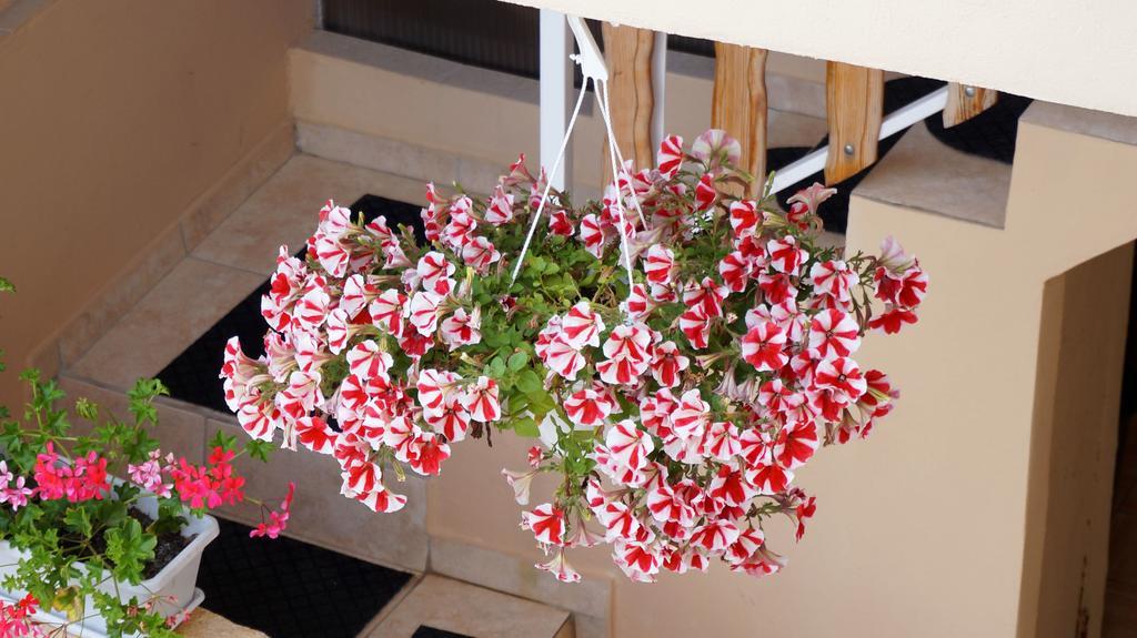 Apartments Red Rose Nin Luaran gambar